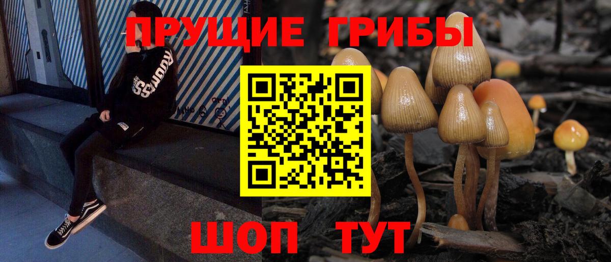 Псилоцибиновые грибы прущие грибы Томск