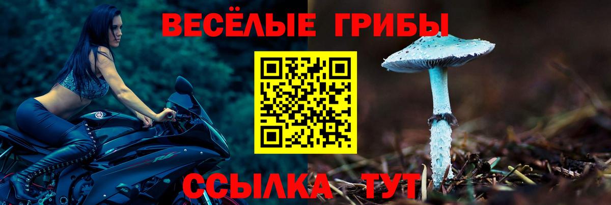 Галлюциногенные грибы мухоморы  Вход с VPN  Томск 